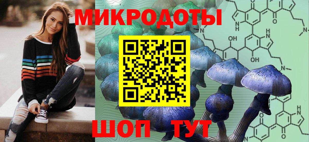 Галлюциногенные грибы Cubensis Липецк